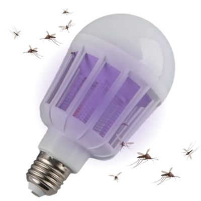 Standard UV Lantern